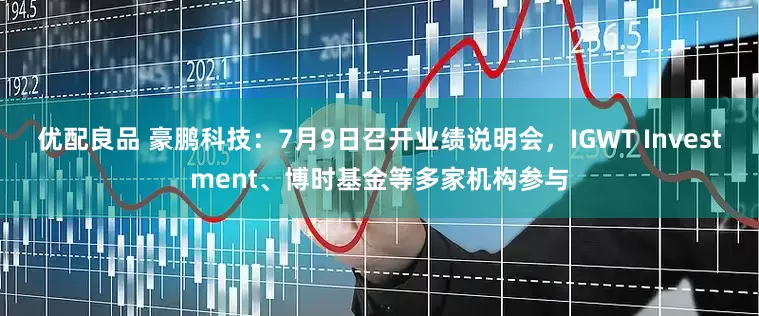 优配良品 豪鹏科技：7月9日召开业绩说明会，IGWT Investment、博时基金等多家机构参与