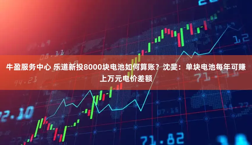 牛盈服务中心 乐道新投8000块电池如何算账？沈斐：单块电池每年可赚上万元电价差额